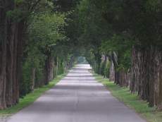 Maryland 0255.jpg